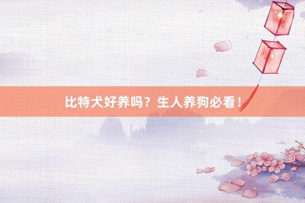 比特犬好养吗？生人养狗必看！